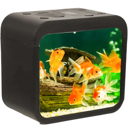 LED Light Mini Fish Tank for Office and Home (Color may vary)- Compact Stylish Fish Aquarium Tank for Home Decor & Table Decor | Desktop Aquarium Tank for Betta Fish - Office Fish Tank- Black